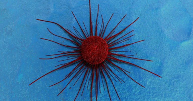 cancro