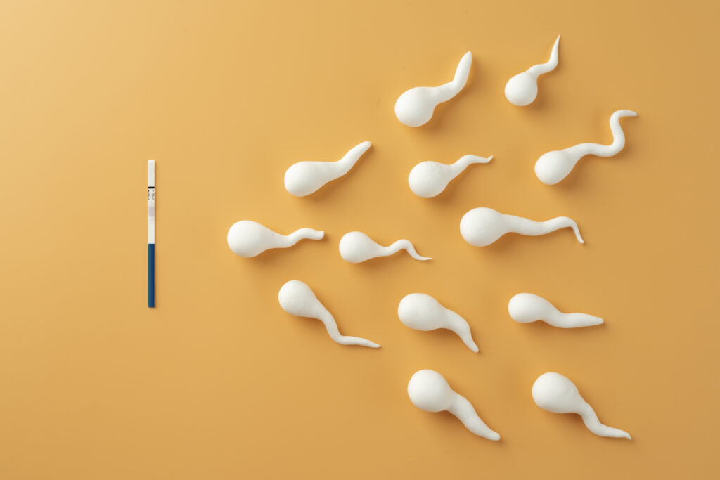 fertilità