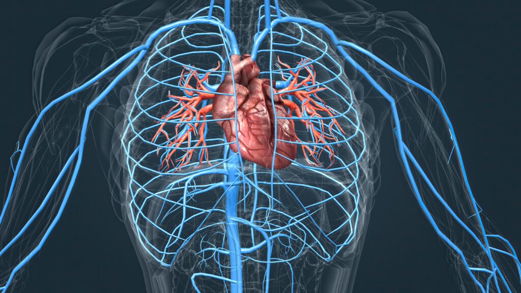 cardiologia