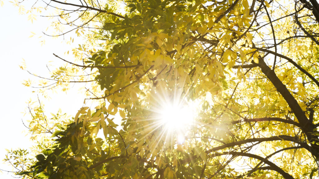 luce naturale