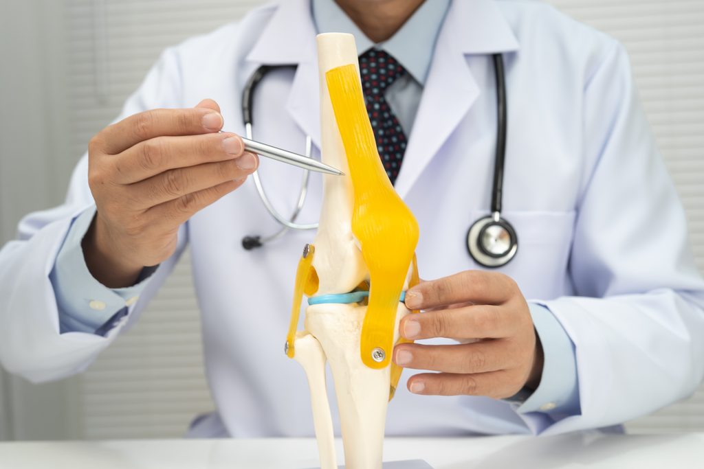 osteoartrite, cartilagine, osso, artrite, studio, cartilagine articolare 